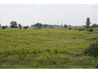 Property photo 21 - 419 +/- Acres offered in 6 Tracts, Land Auction
